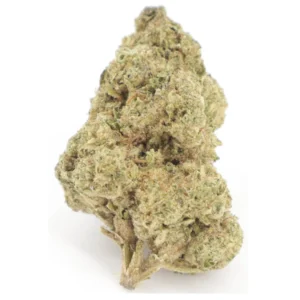 Mule Fuel - 1 ounce SPECIAL!