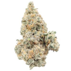 Chocolate Cherry Punch – Premium Cannabis Flower