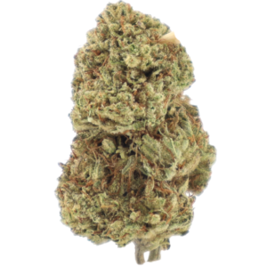 Donnie Burger – Premium Cannabis Flower