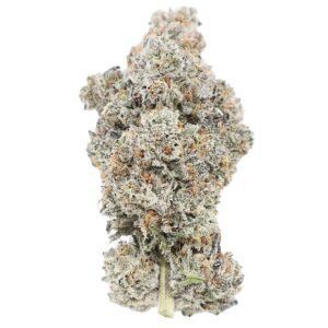 Blue Zushi – Premium Cannabis Flower