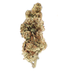 ZaZa Purple Punch – Premium Cannabis Flower