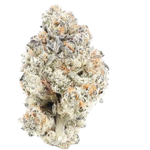 Bolo Runtz Hybrid Cannabis Flower
