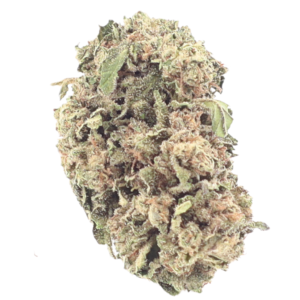 Gelato – 1 ounce SPECIAL! Cannabis Flower