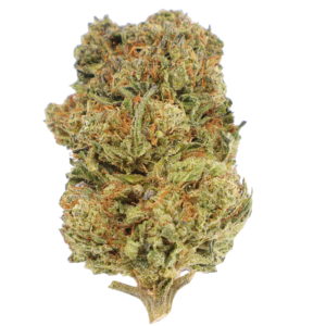 Perm Marker Nug 2